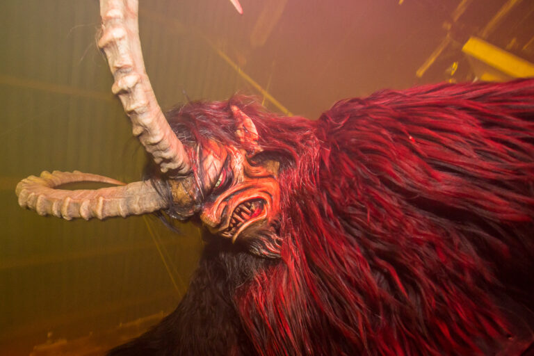 Percht fotografiert von unten