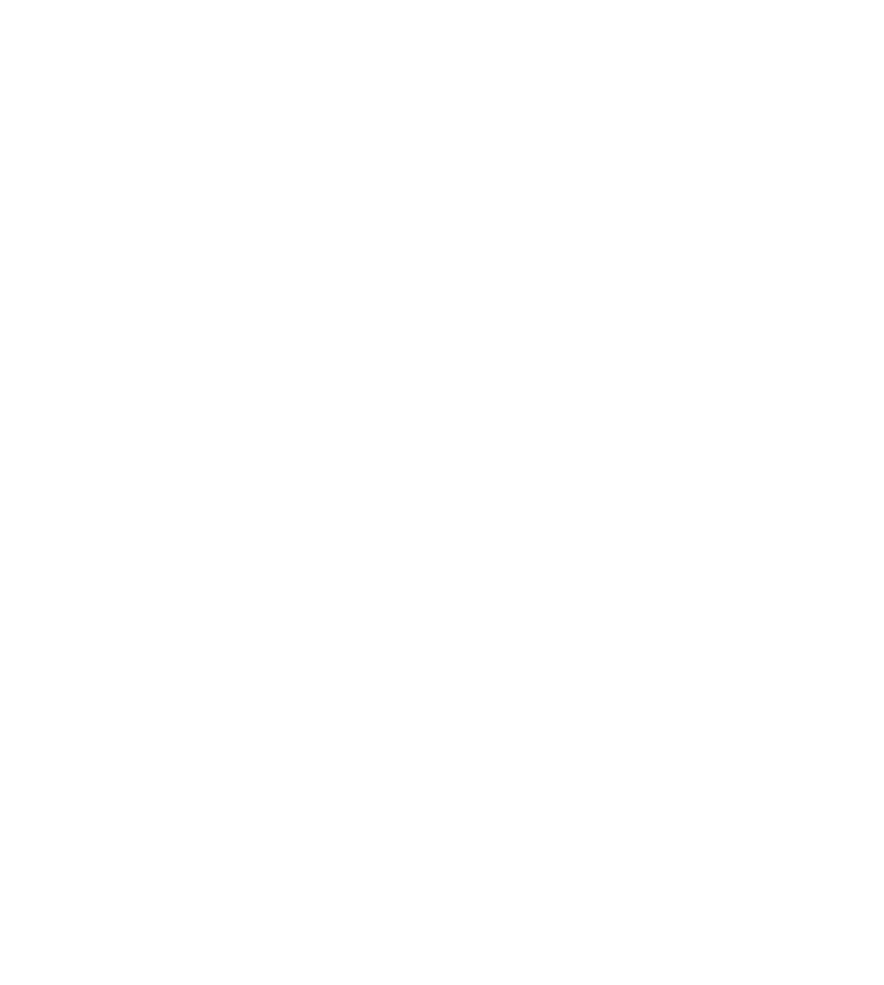 Wildenstoana Logo